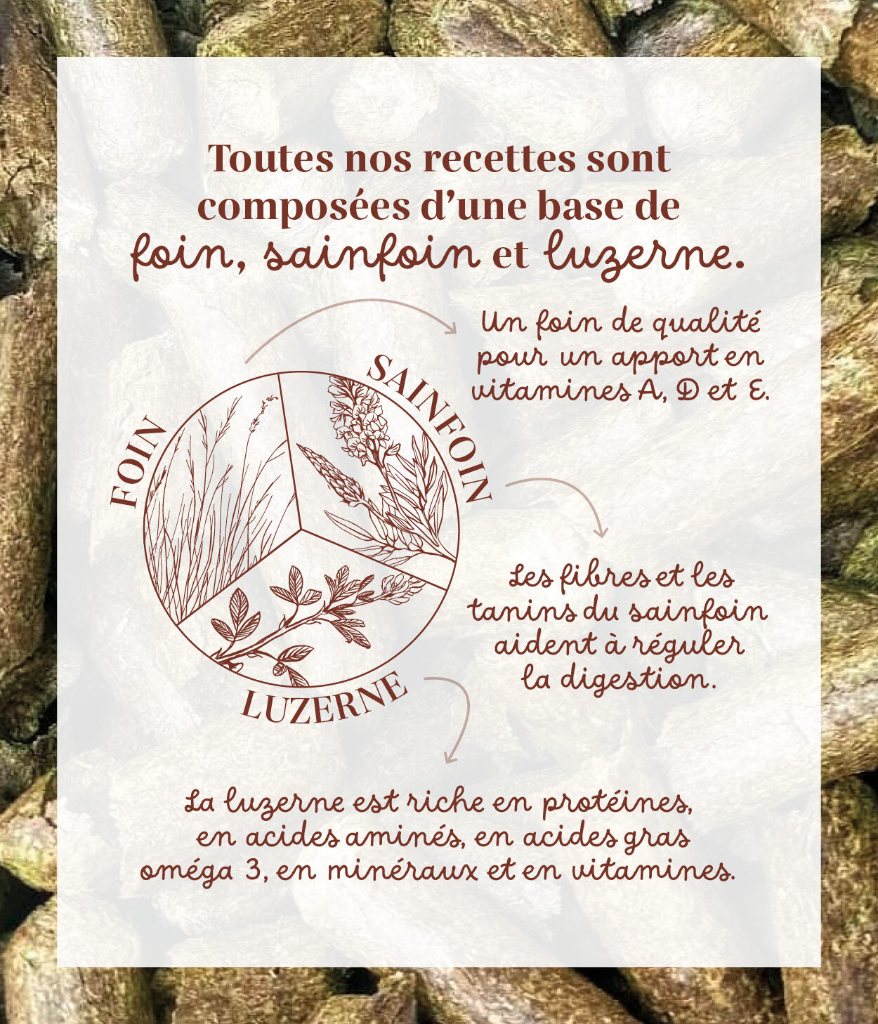 Friandises 100% naturelles chevaux - Pomme / Cannelle 4/5