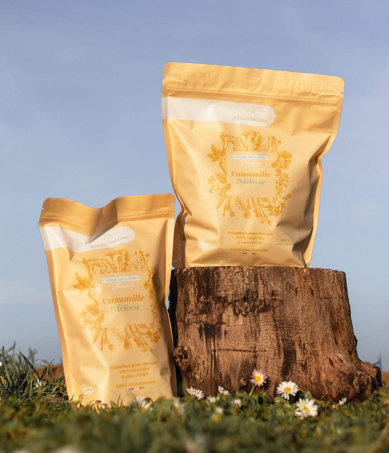 Friandises 100% naturelles chevaux - Relaxant (Camomille / Mélisse) 2/5