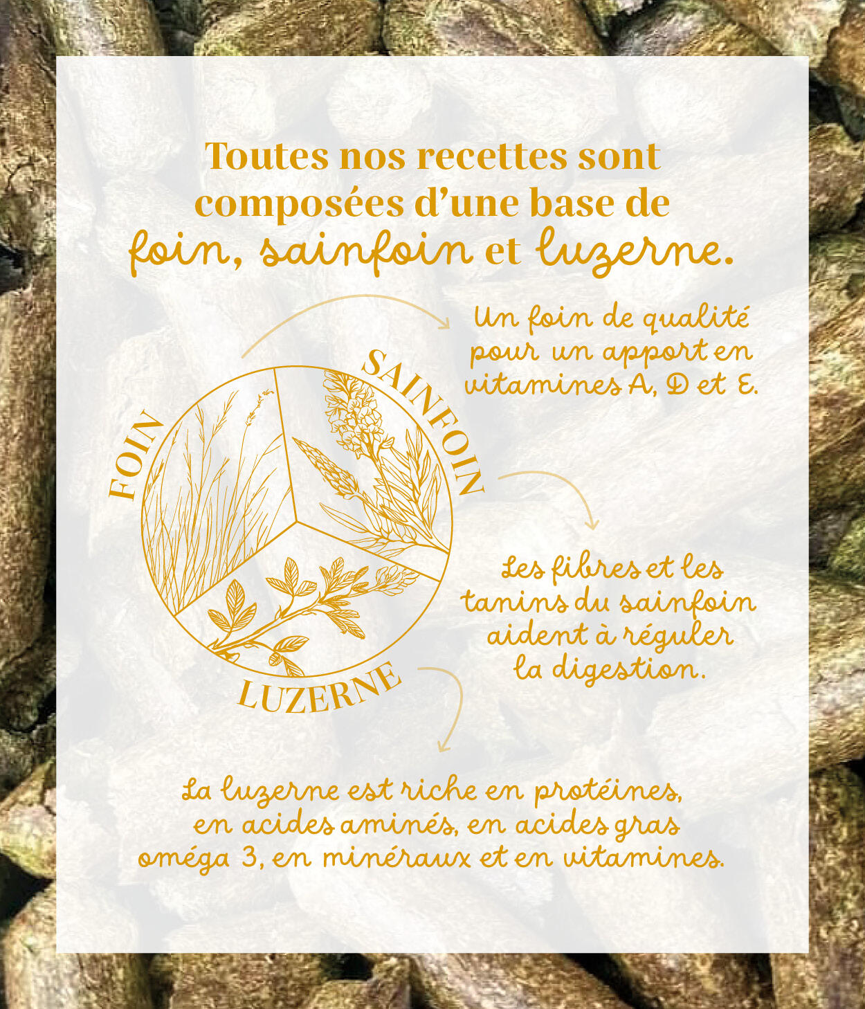 Friandises 100% naturelles chevaux - Relaxant (Camomille / Mélisse) 4/5