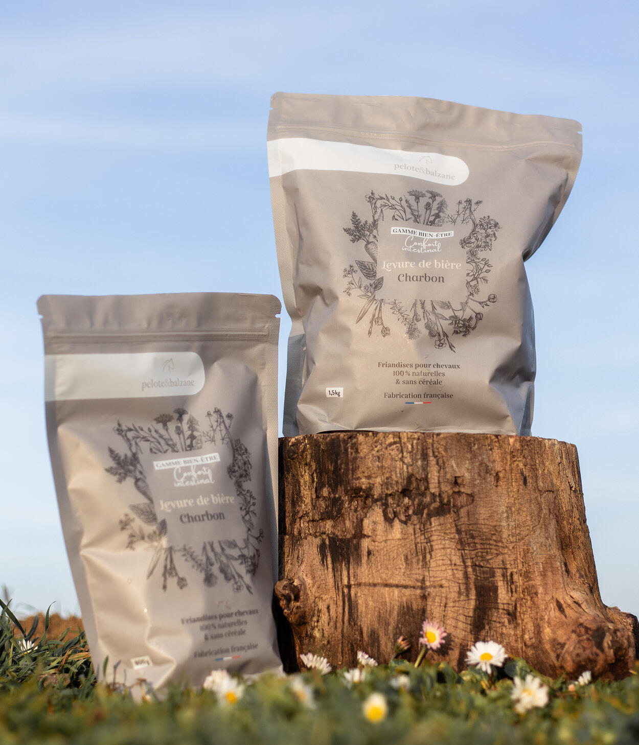 Friandises 100% naturelles - Confort intestinal  (Levure de bière / Charbon) 2/5