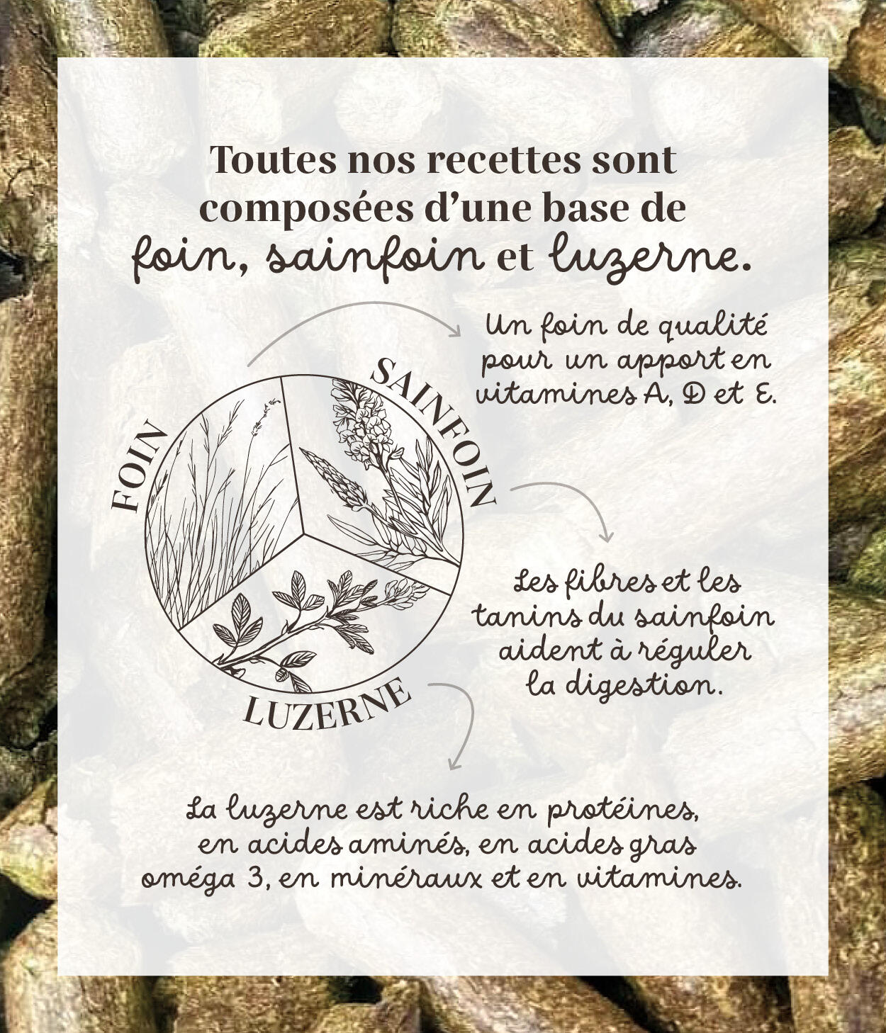 Friandises 100% naturelles - Confort intestinal  (Levure de bière / Charbon) 4/5