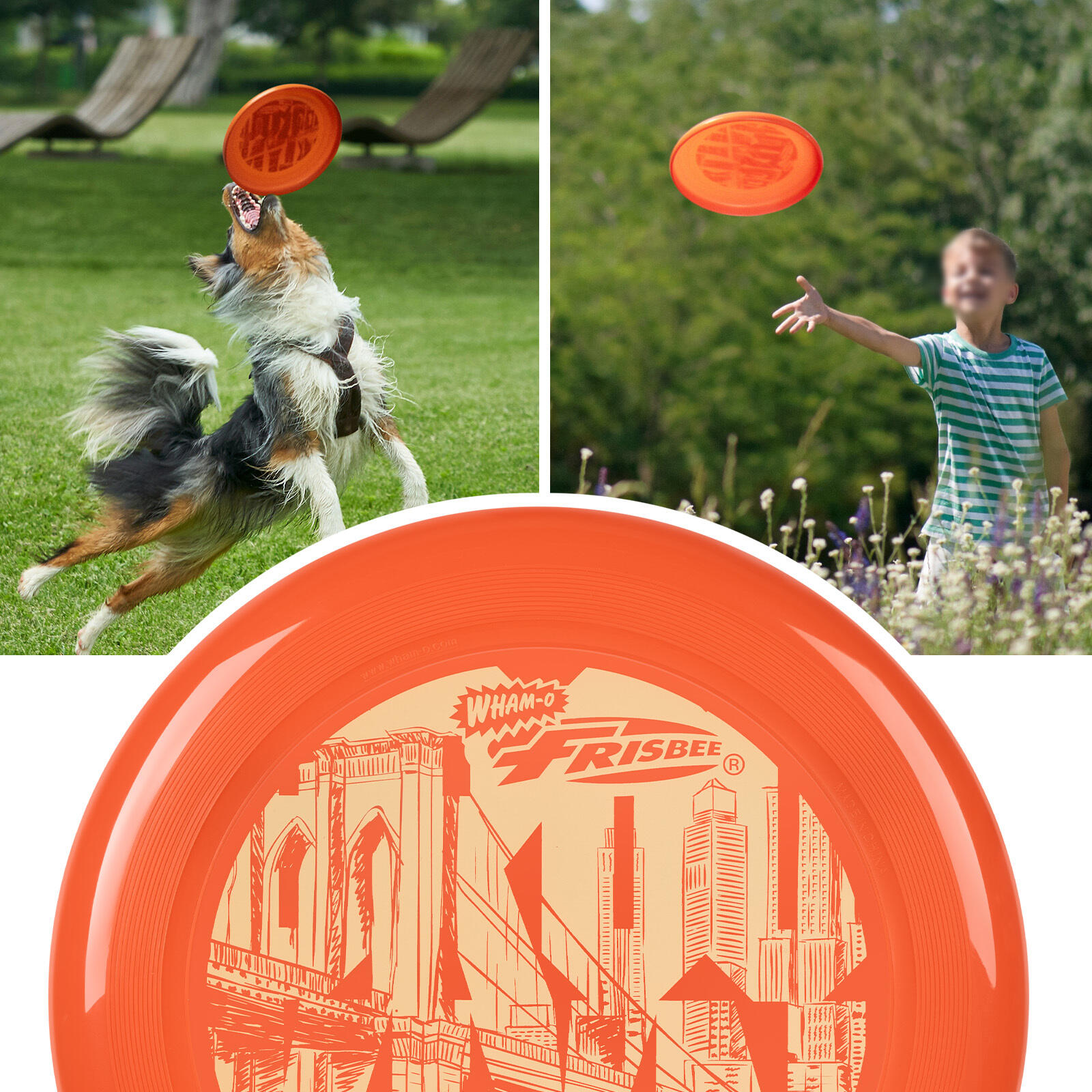 Disco Volador Frisbee Cool Flyer, 25,27 cm - 130 g 5/7