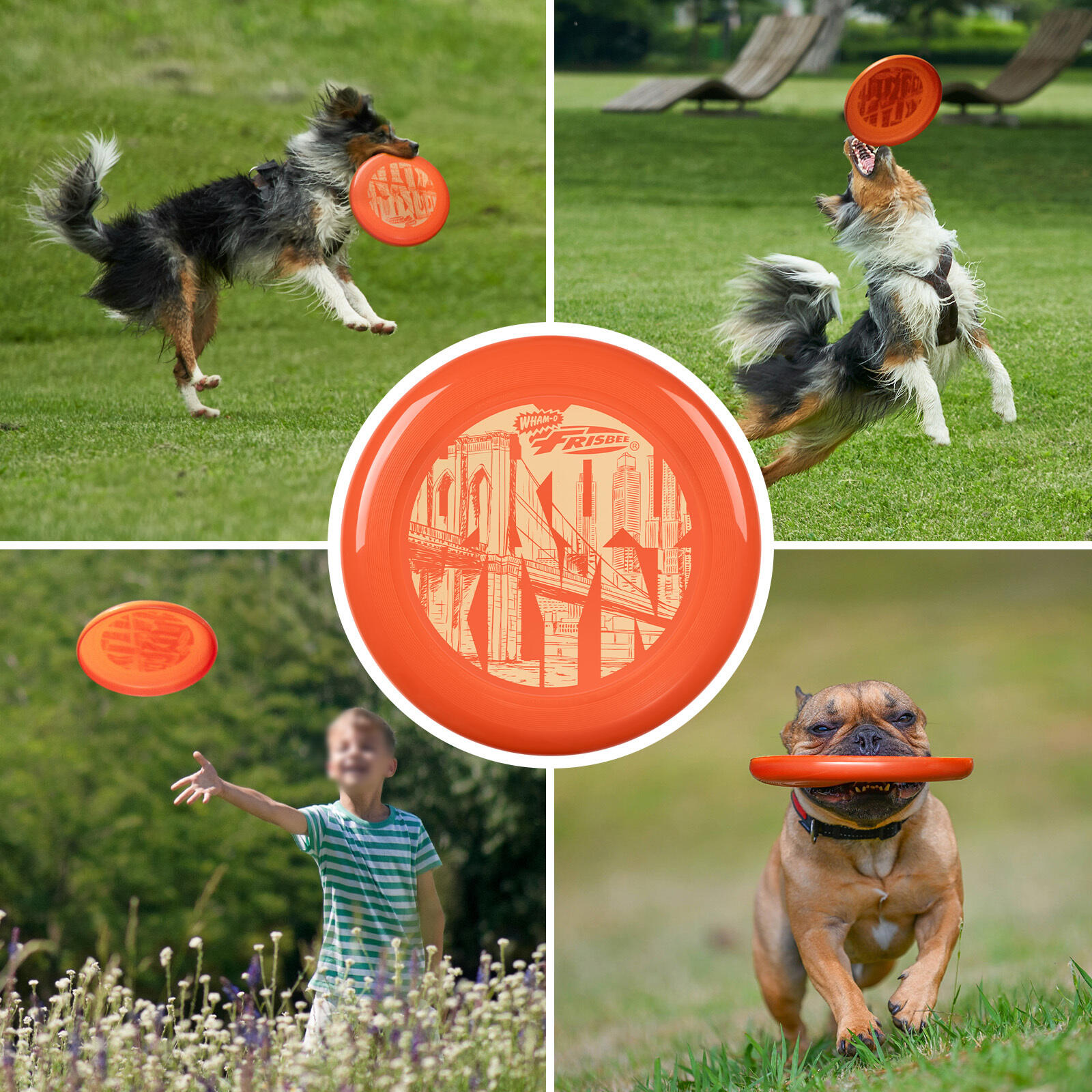 Disco Volador Frisbee Cool Flyer, 25,27 cm - 130 g 7/7
