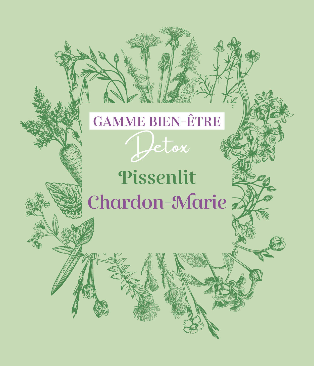 Friandises 100% naturelles chevaux - Détox (Pissenlit / Chardon-Marie) 3/5