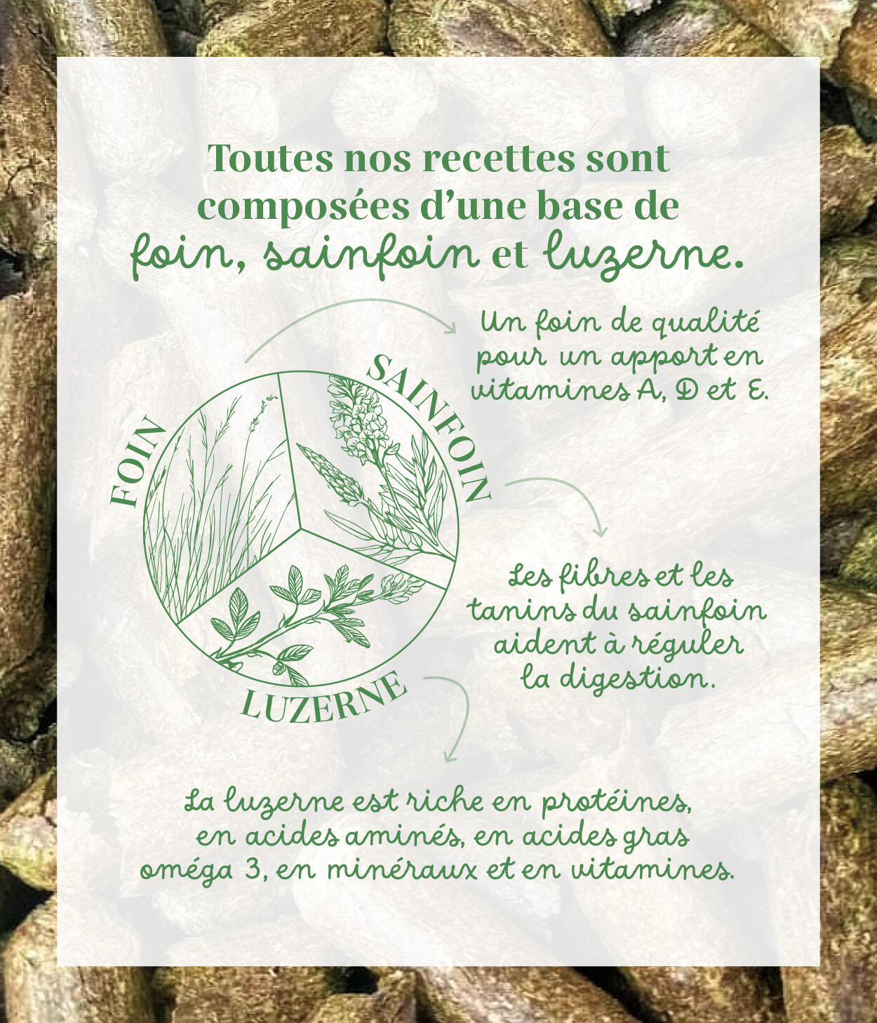 Friandises 100% naturelles chevaux - Détox (Pissenlit / Chardon-Marie) 4/5