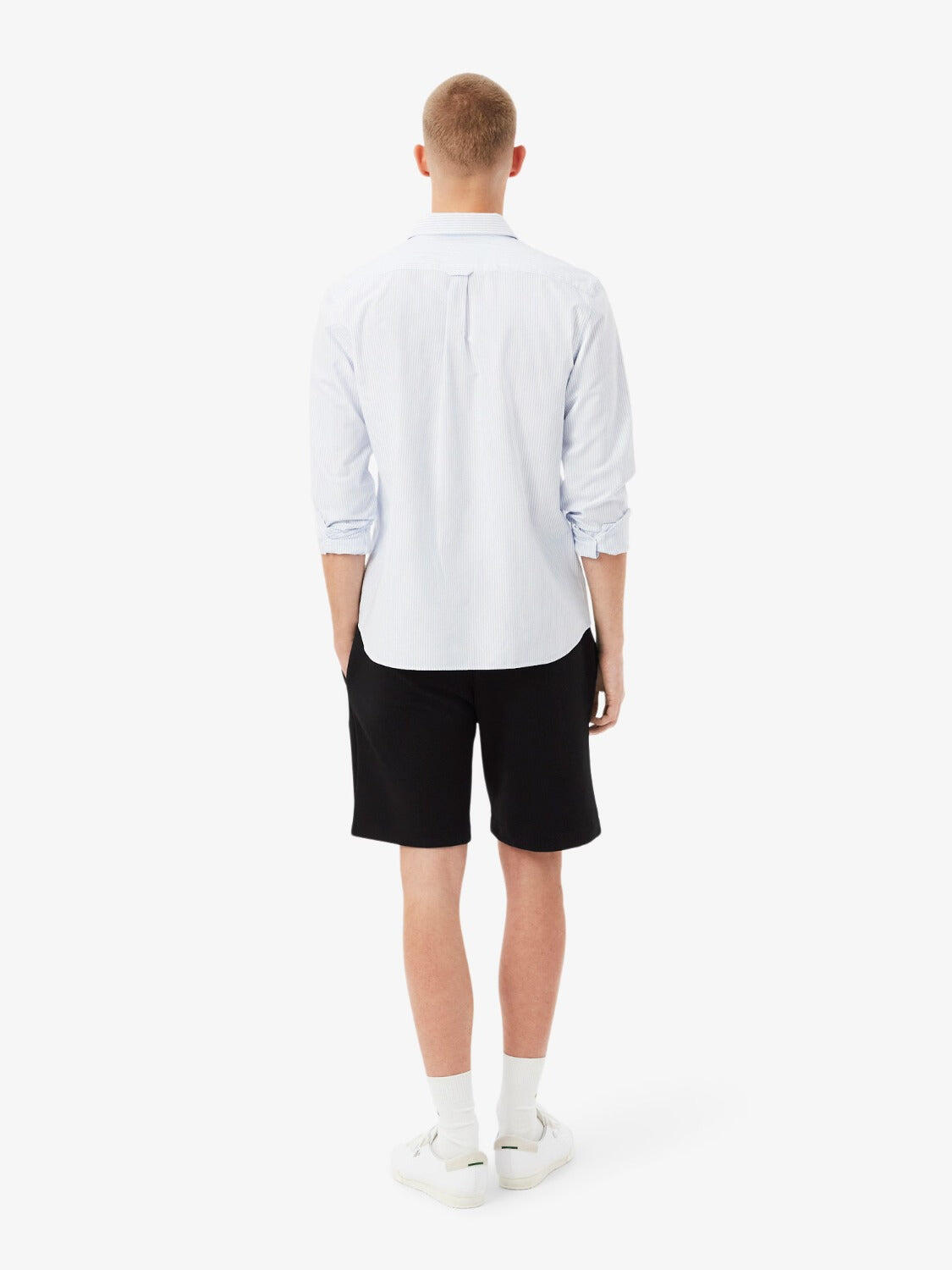 Short Lacoste - Homme 3/7
