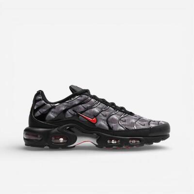 Nike air max plus topography pack