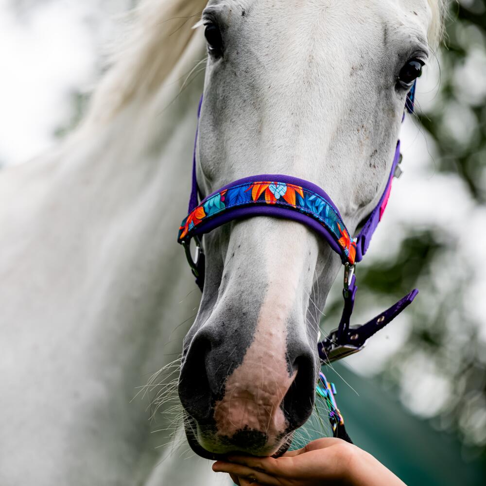 Cavezza per cavallo GALOP WEAR – Power Flower 2/4