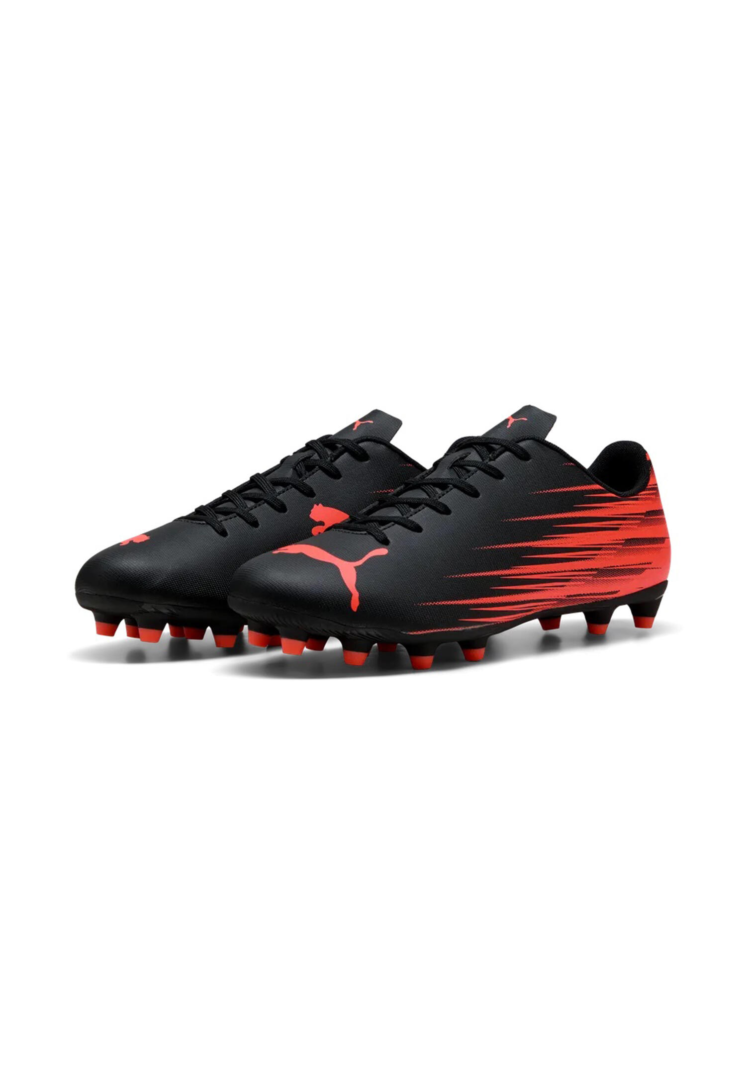 PUMA picture