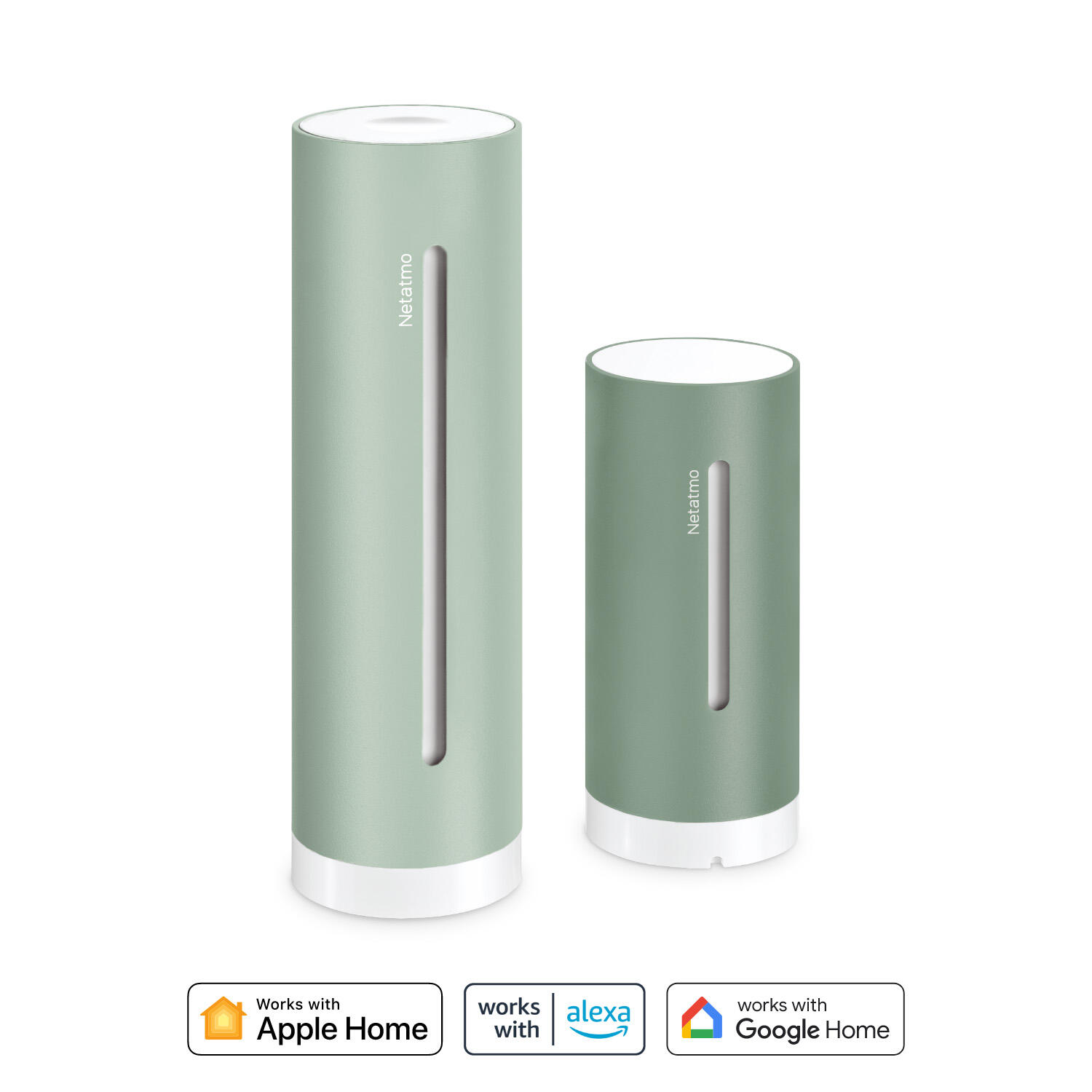 NETATMO picture