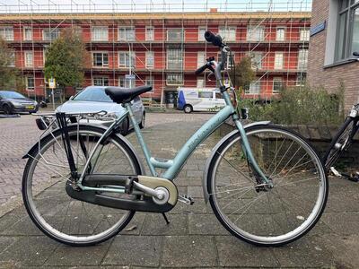 Blue batavus bolivia