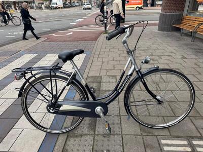 Black gazelle impala