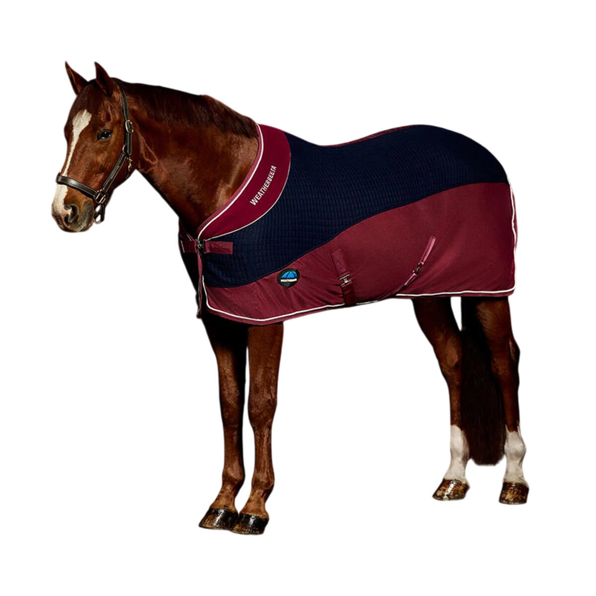 Couverture Rafraichissante Pour Chevaux (Bleu Marine / Bordeaux) 1/4