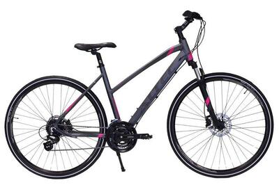 Nieuw altec stadsfiets bike, metal/grijs