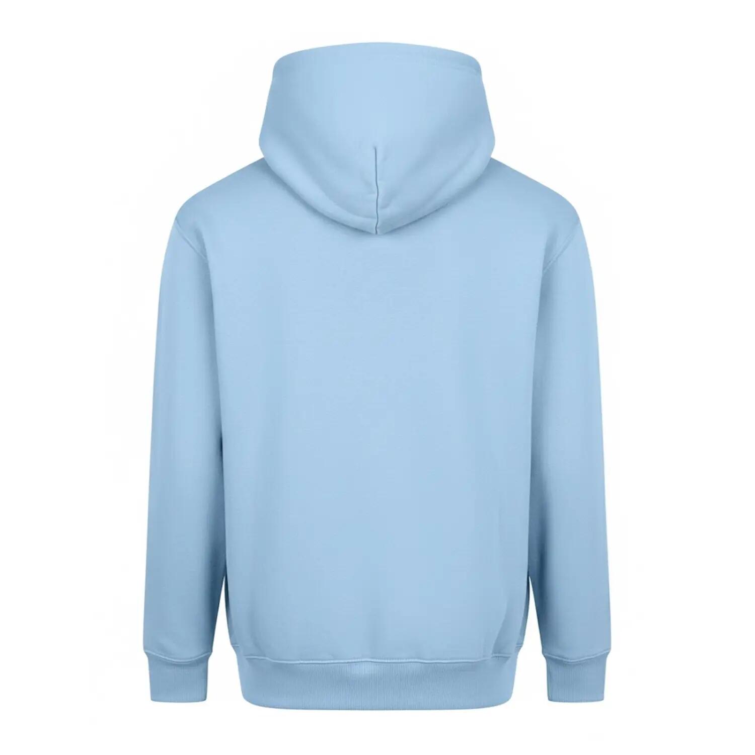 Mens Vision Heavyweight Hoodie (Ice Blue) 2/2
