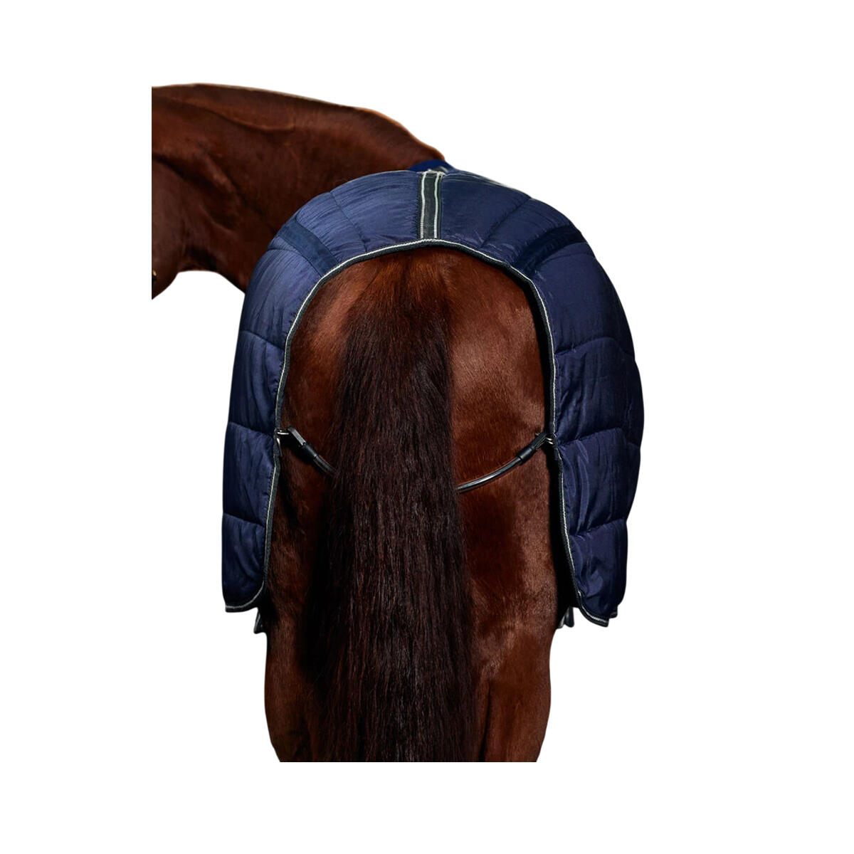 Collo Rimovibile Coperta Da Stalla Weatherbeeta Comfitec PP Channel Quilt II Blu 2/4