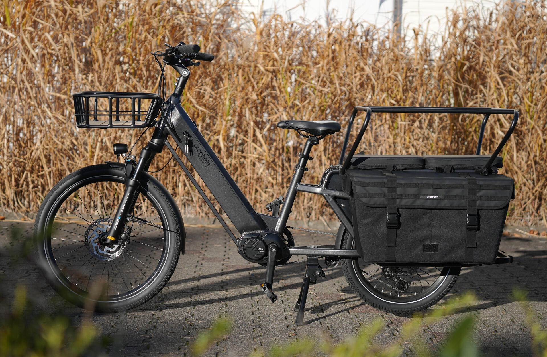 Prophete Urbanicer 4.0 Urban E-Bike 20/24 Zoll 7/7