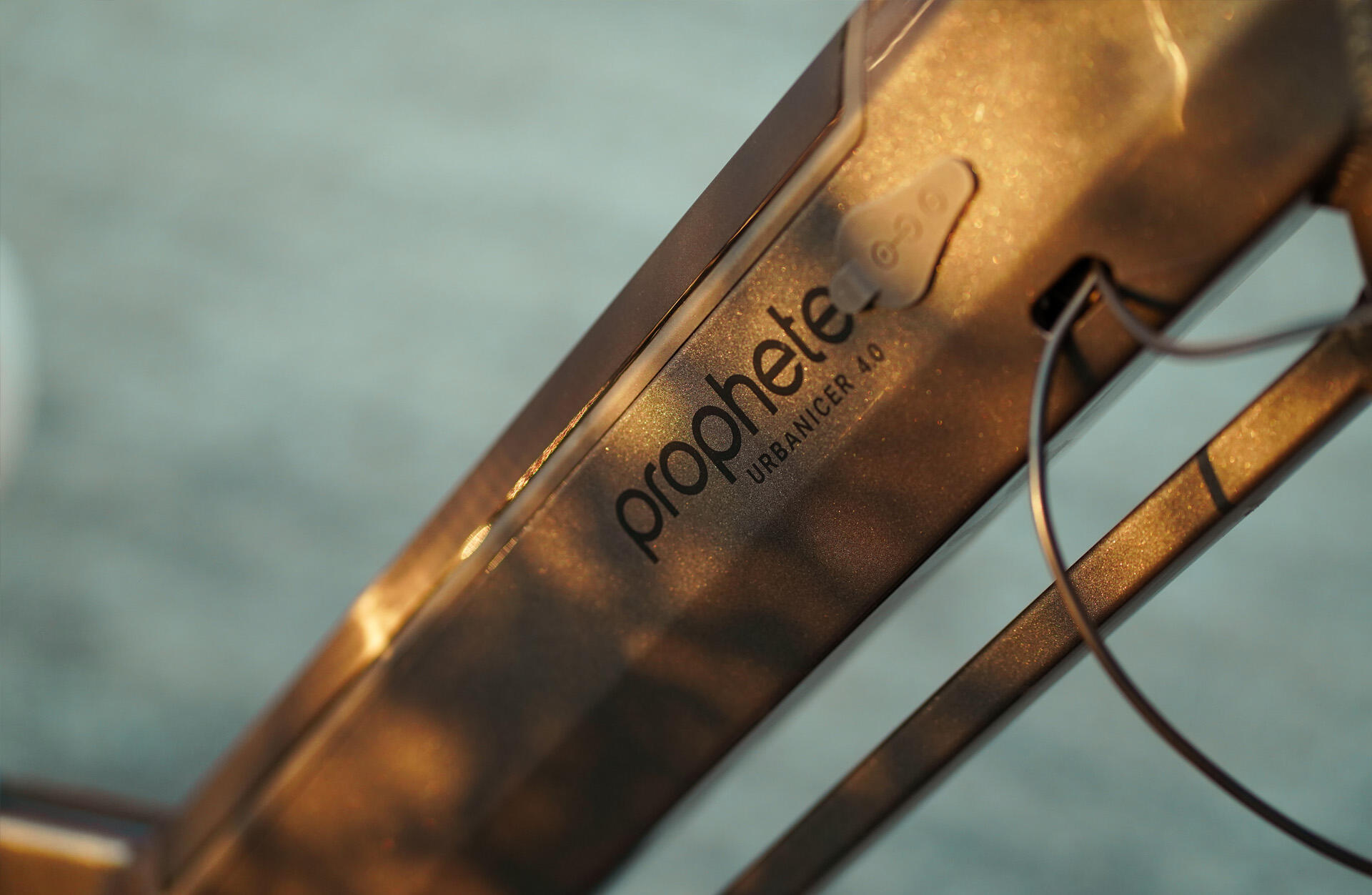 Prophete Urbanicer 4.0 Urban E-Bike 20/24 Zoll 6/7