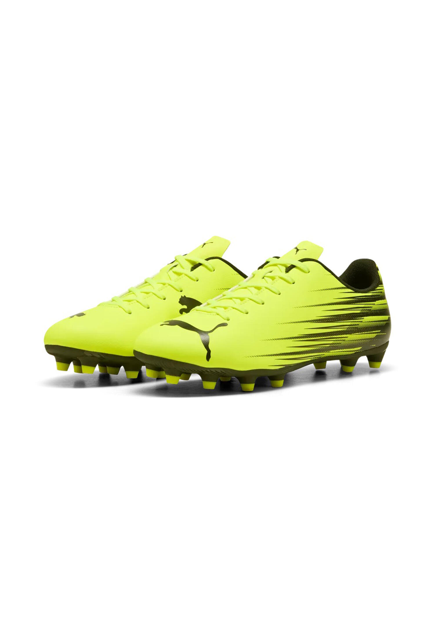PUMA picture