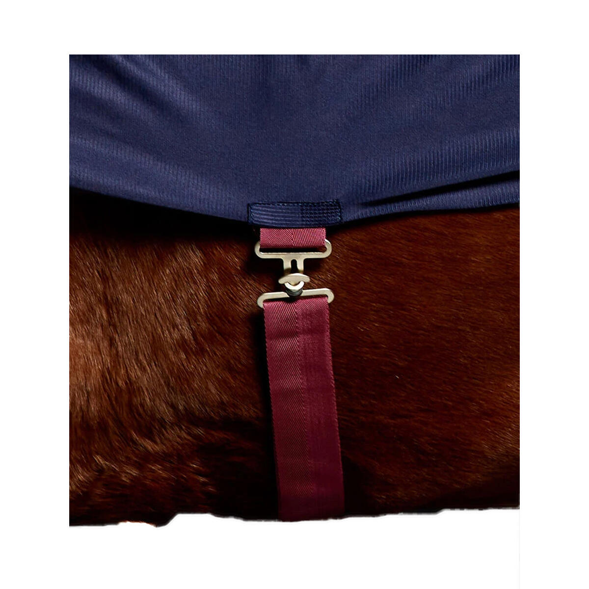 Couverture Rafraichissante Pour Chevaux SCRIM (Bleu Marine / Bordeaux) 3/4