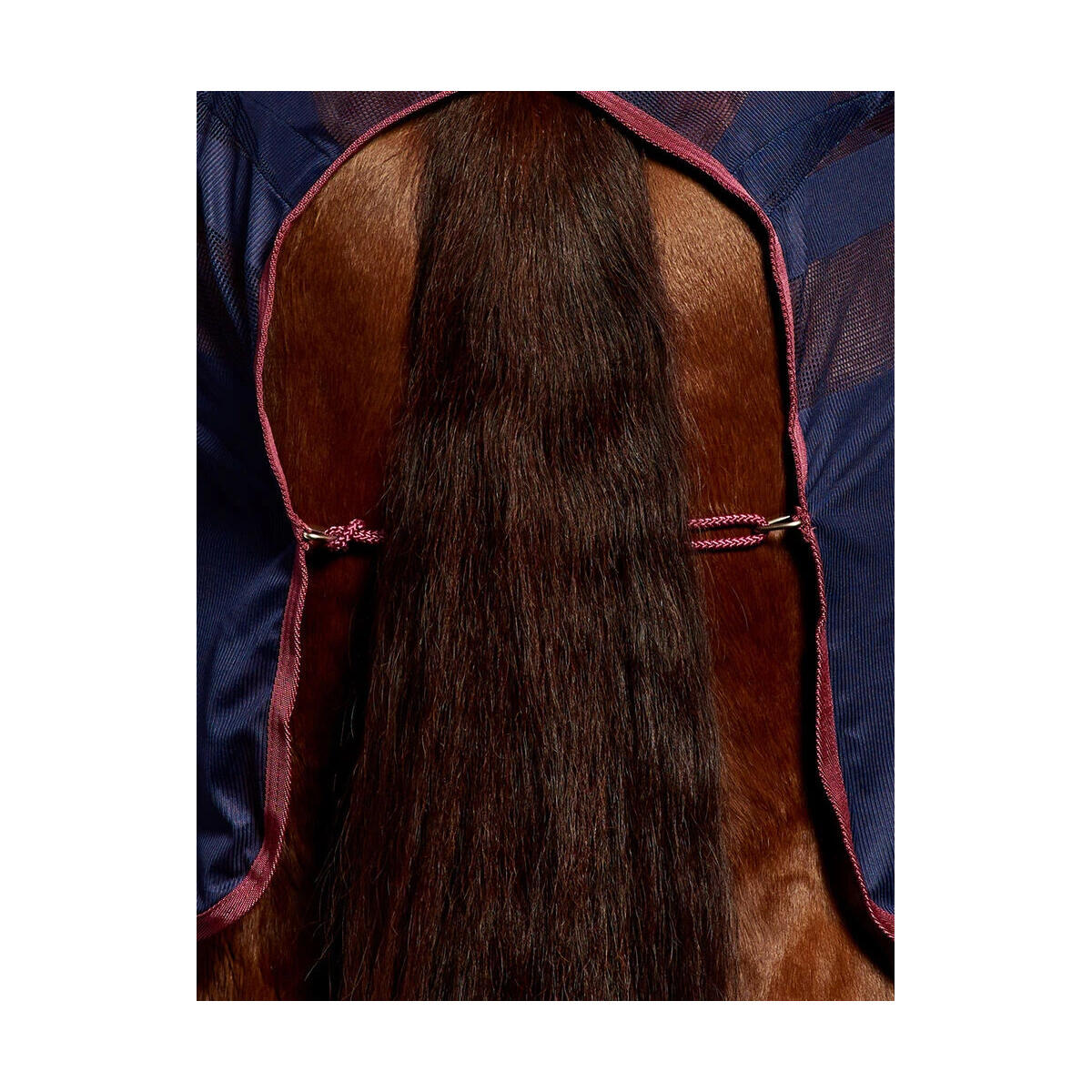 Couverture Rafraichissante Pour Chevaux SCRIM (Bleu Marine / Bordeaux) 4/4