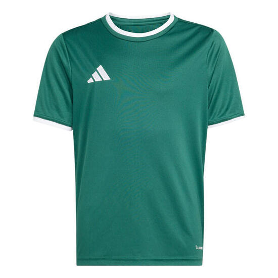 adidas Kinder Trikot Entrada 26 Jersey Y