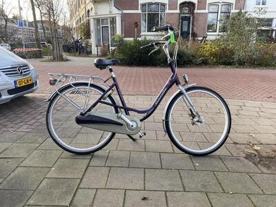 Purple gazelle bloom