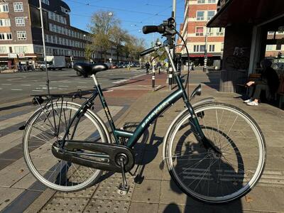 Green batavus padova