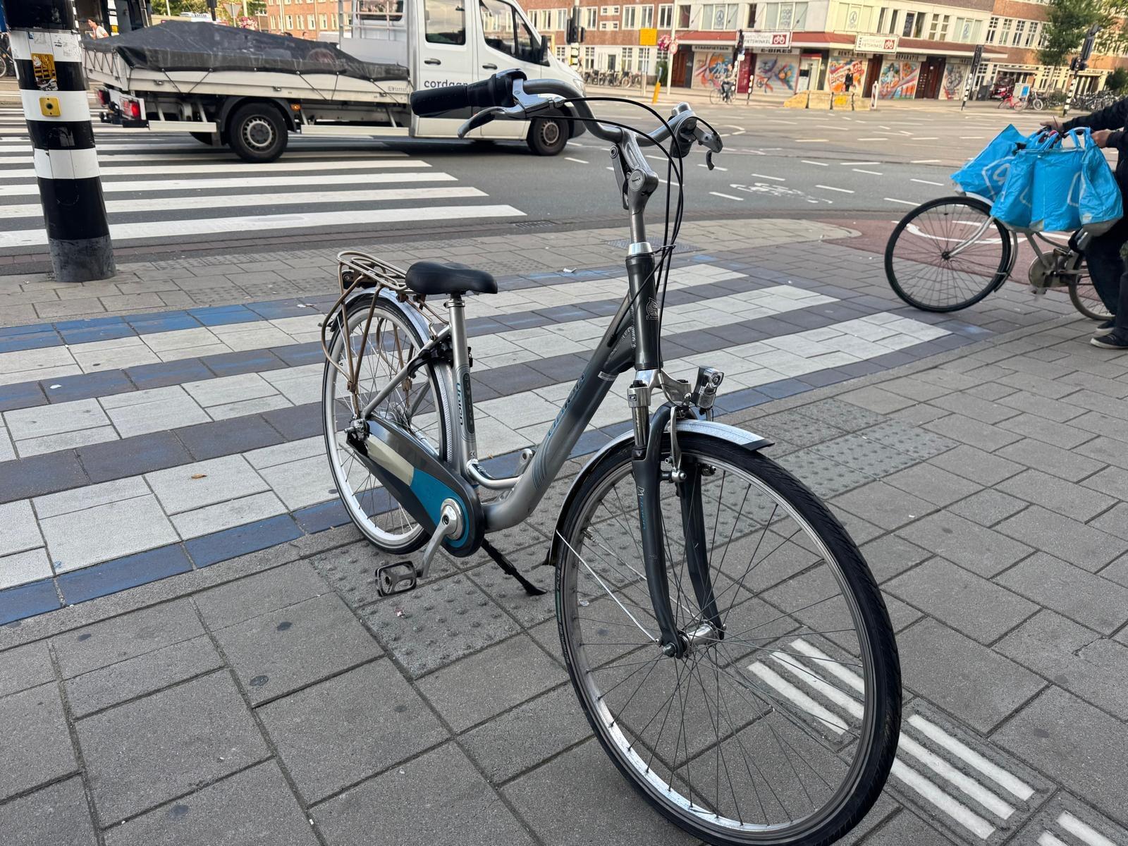 Union Switch damesfiets, 50 cm, metal/grijs 2/5