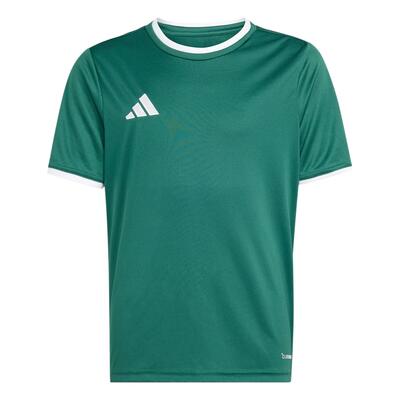 Adidas entrada 26 jersey voor kinderen