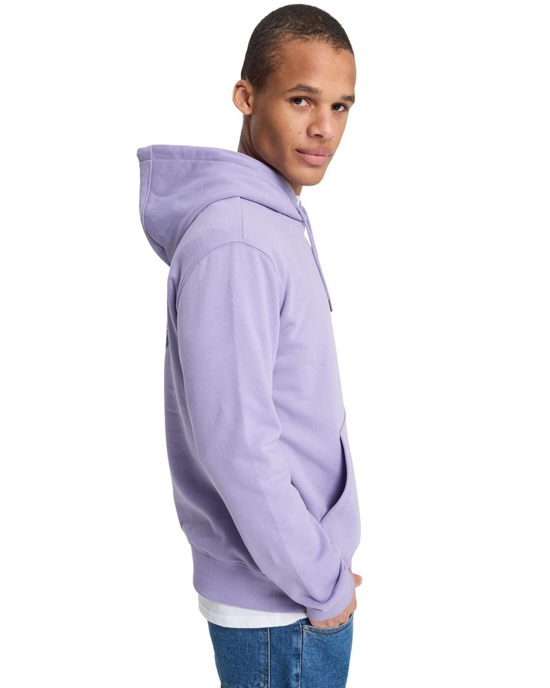 Sweat à capuche GRAPHIC Violet Homme 3/4