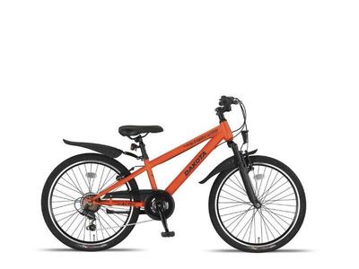 Altec dakota 20 inch mtb 28cm oranje - free delivery