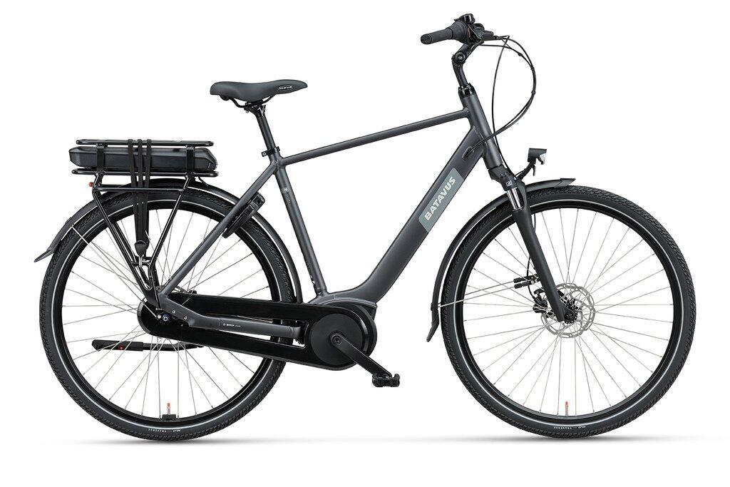BATAVUS picture