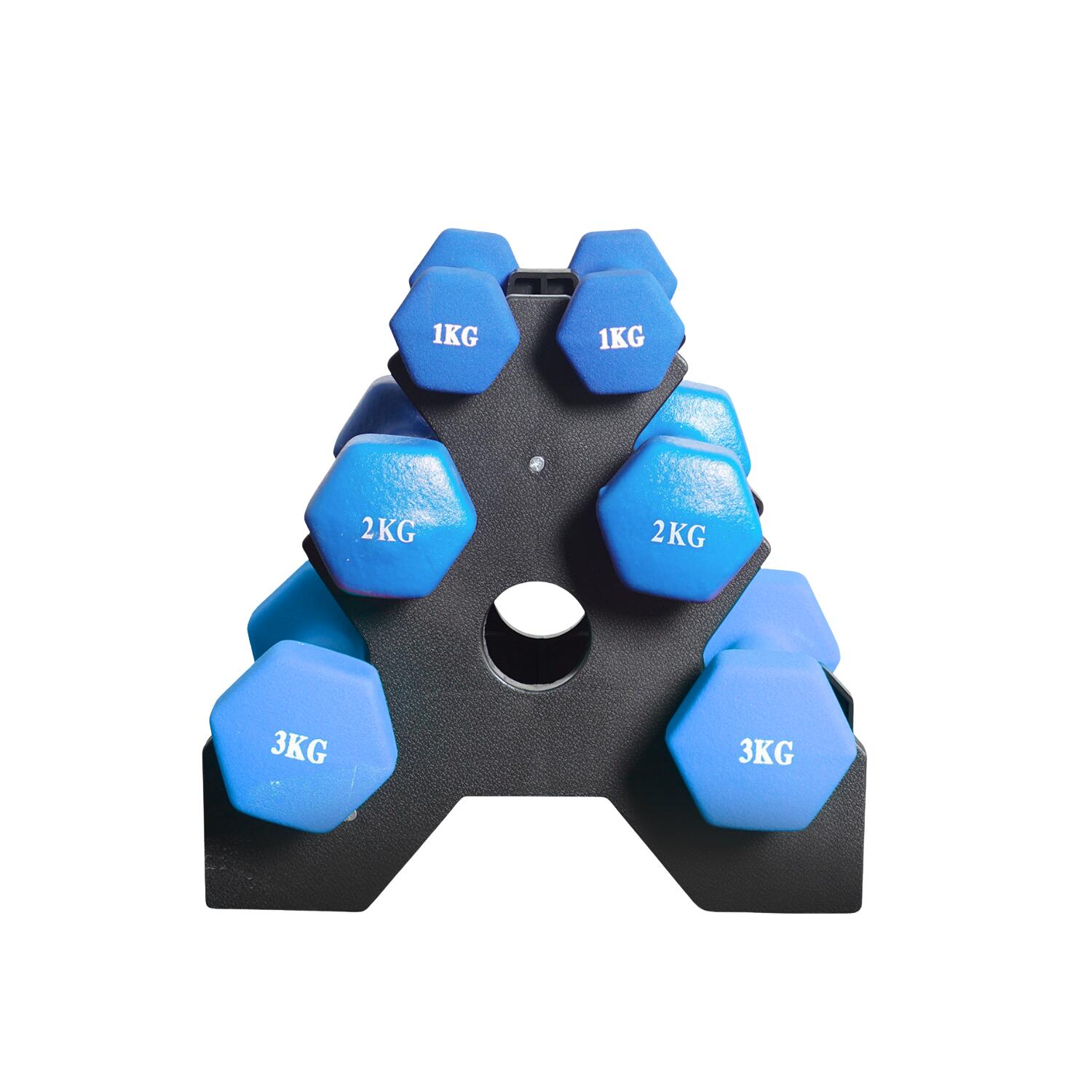 Set of 3 pairs of dumbbells (1/2/3 KG), Blue - Homefittools