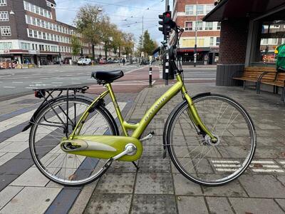 Vibrant green batavus live