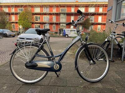 Grey/metal batavus crescendo