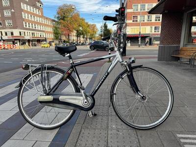 Grey/metal gazelle saphir