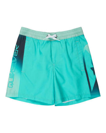 Short de bain EVERYDAY HOLMES VOLLEY 16" Bleu Garçon