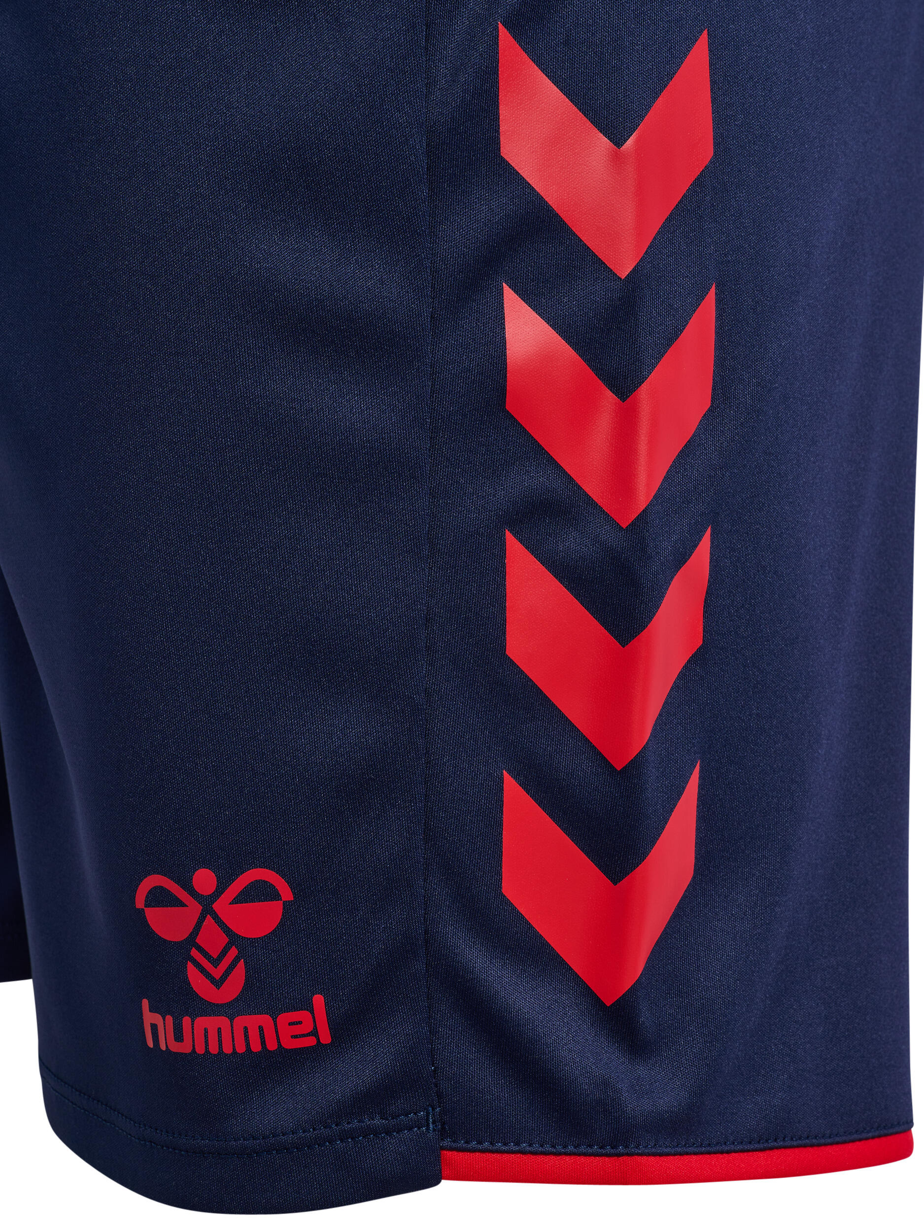 Fermeture À Cordon Short Hmlcore Homme 7/7