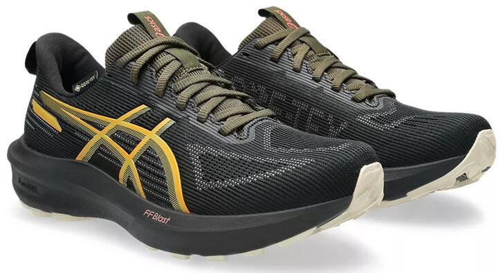 ASICS Women’s Running Shoes Asics GT-1000 14 GTX