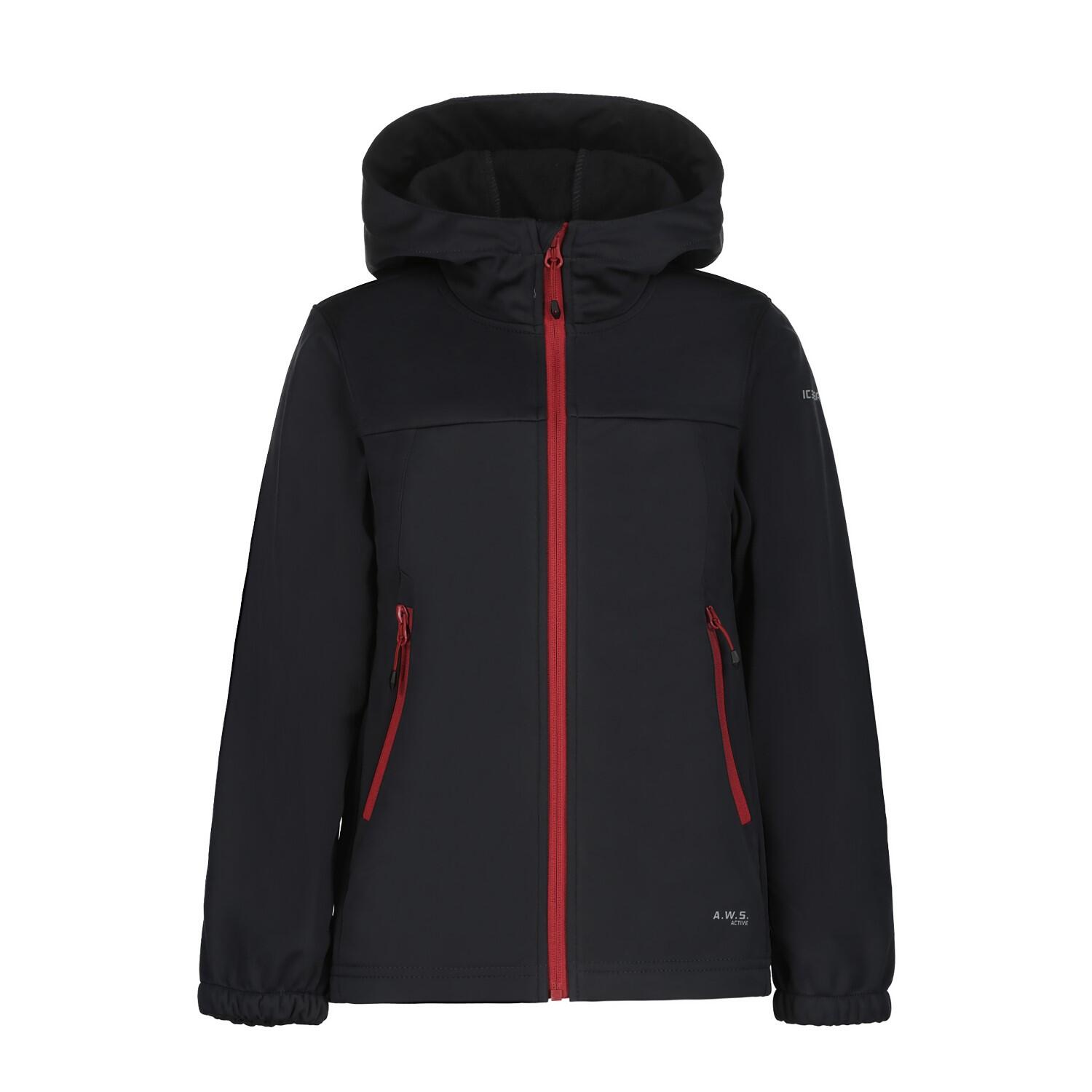 ICEPEAK picture