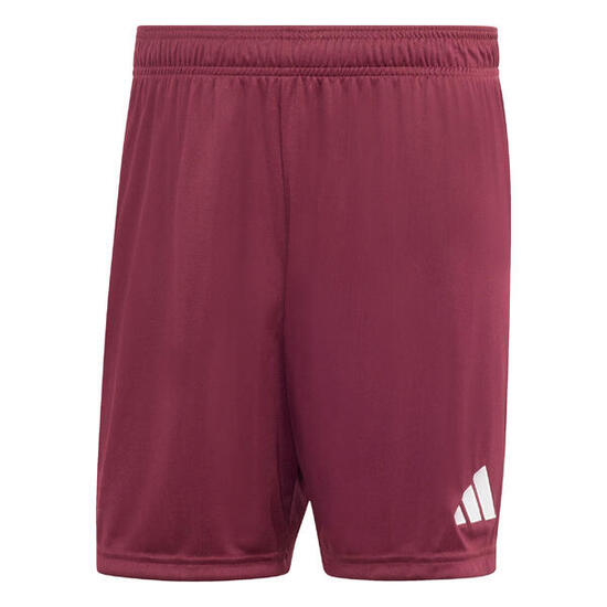 Shorts ADIDAS Entrada homme