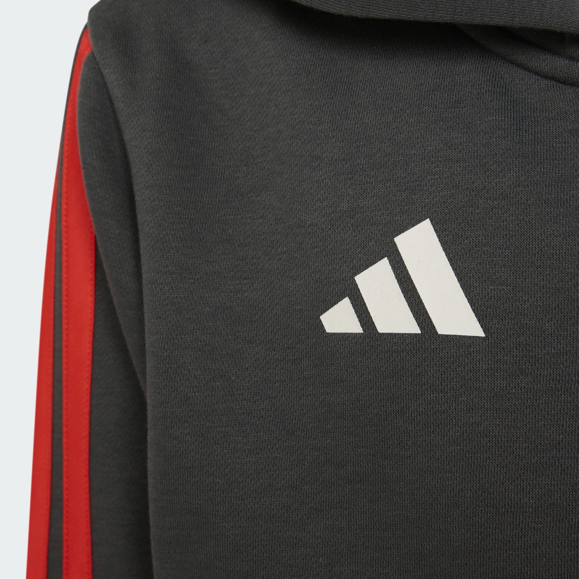 SUDADERA CON CAPUCHA Y CIERRE DE CREMALLERA AUDI REVOLUT F1 TEAM DNA 2/5