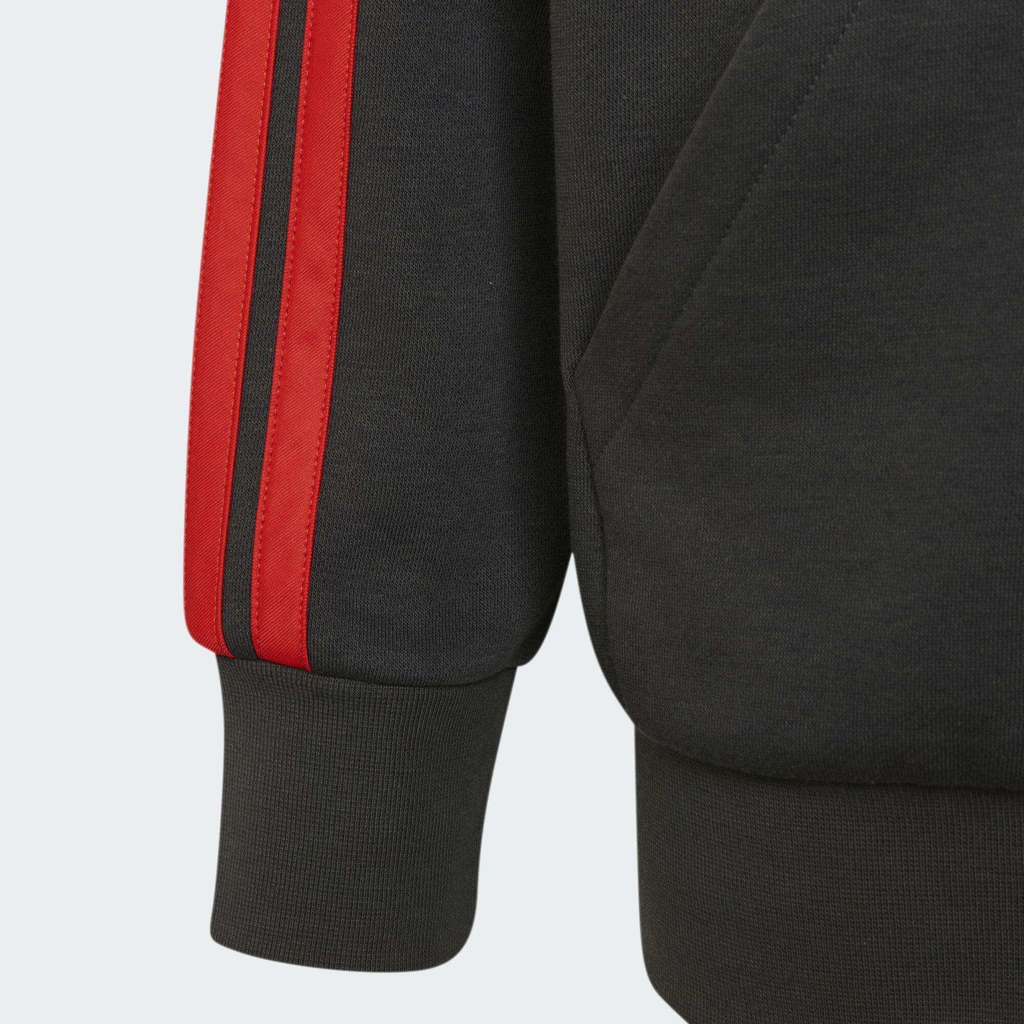 SUDADERA CON CAPUCHA Y CIERRE DE CREMALLERA AUDI REVOLUT F1 TEAM DNA 5/5