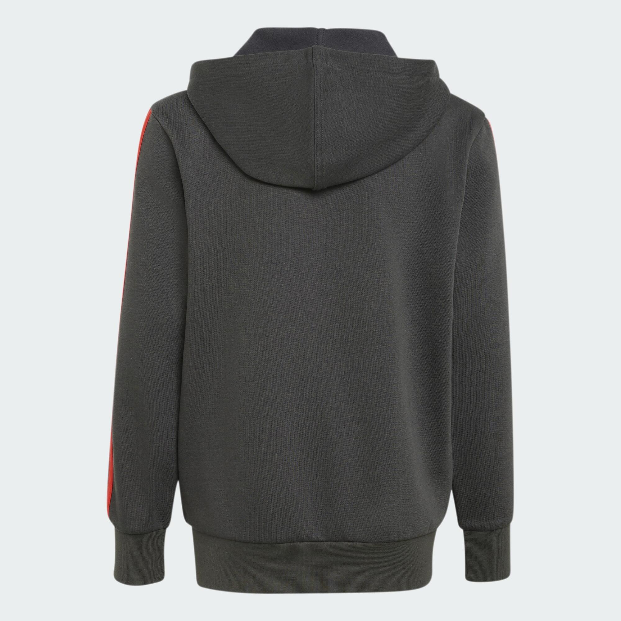 SUDADERA CON CAPUCHA Y CIERRE DE CREMALLERA AUDI REVOLUT F1 TEAM DNA 4/5