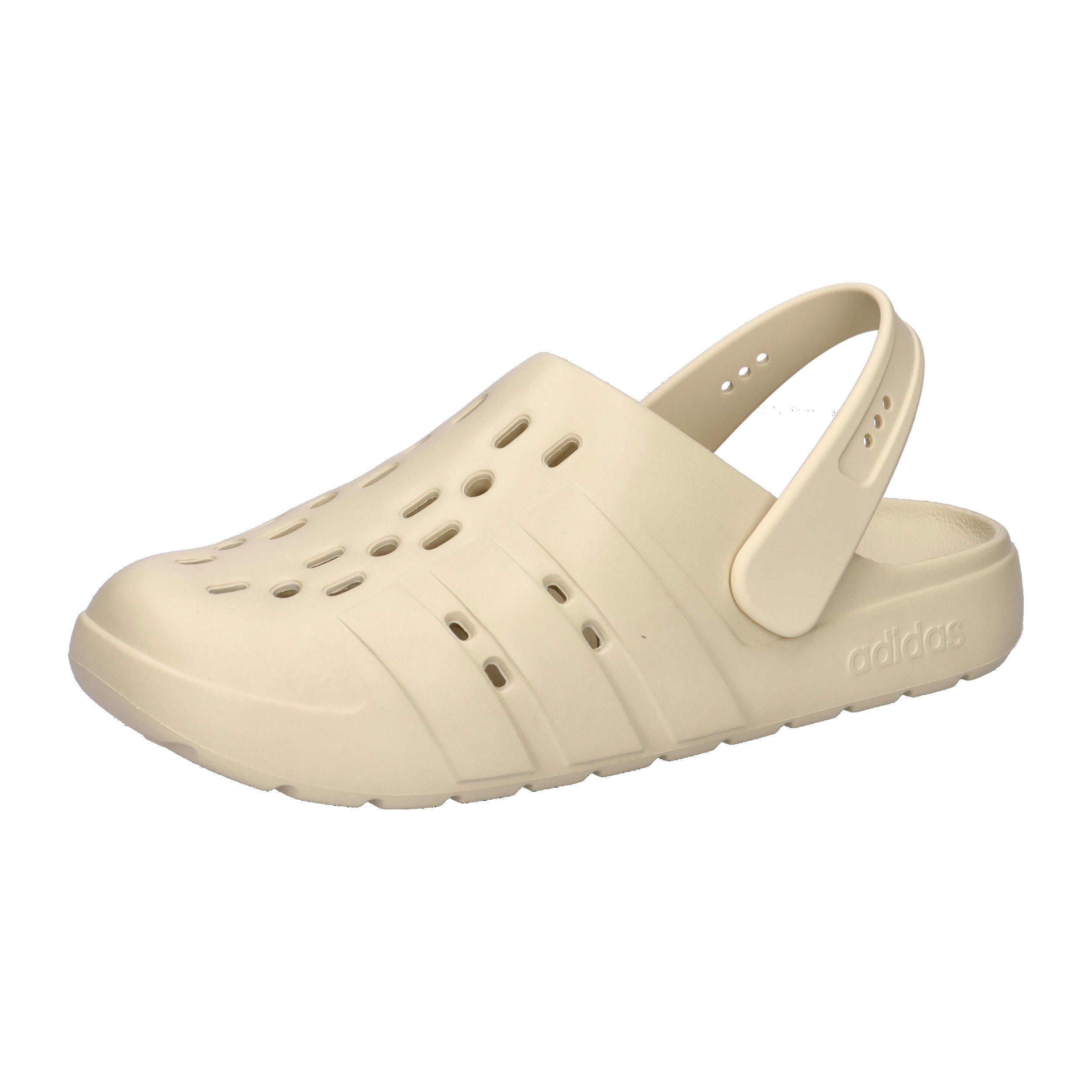 beige / braun