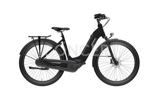 BATAVUS picture