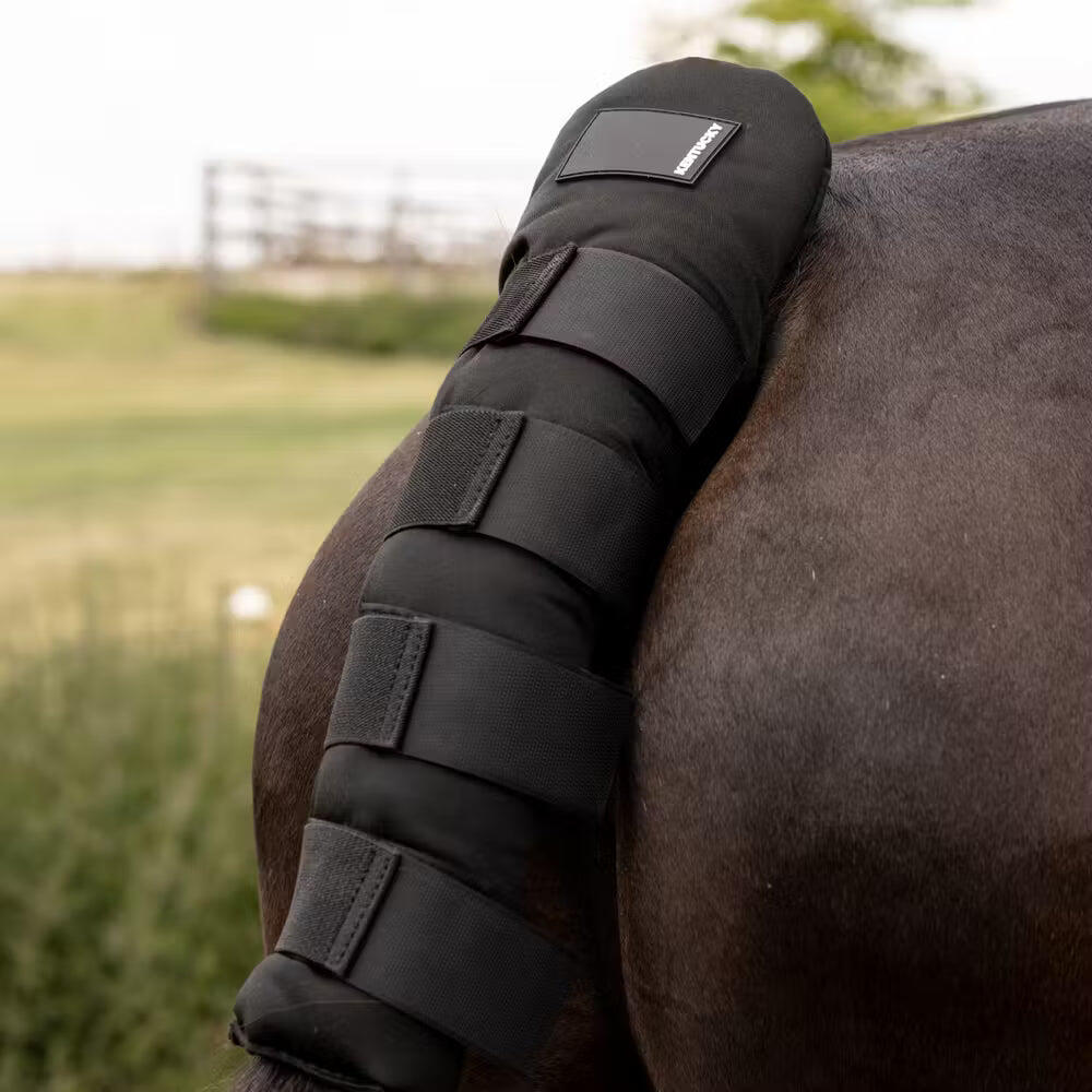 Protège-queue pour cheval Kentucky Pro 6/6