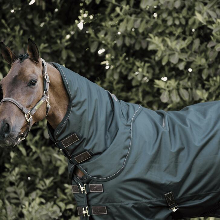 Kentucky Neck All Weather Pro Groen -