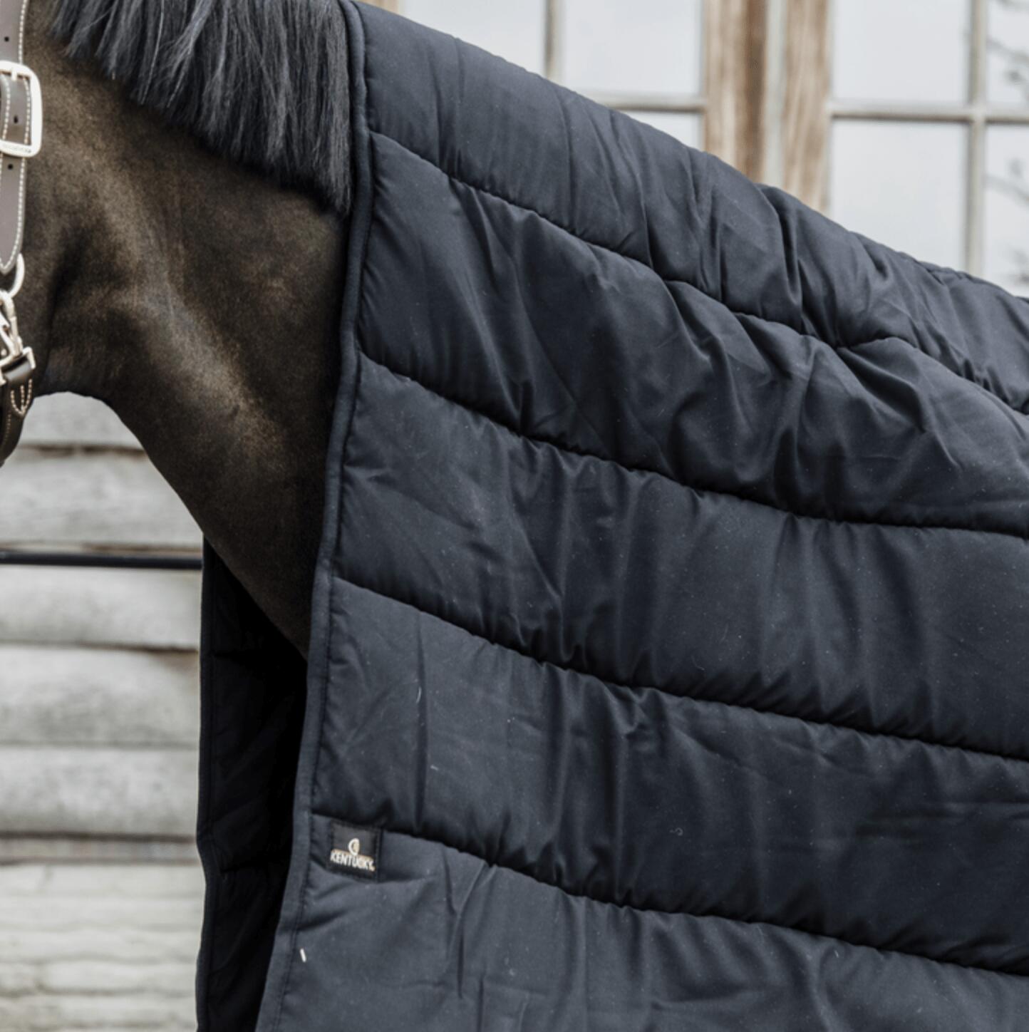 Coperta da stalla per cavalli Kentucky Duvet 300 g 7/7
